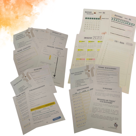 Skoliose Tagebuch 2025 zum Download